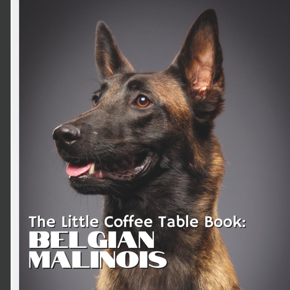 The Little Coffee Table Book: Belgian Malinois: 75 fascinating facts, showcasing their history, personality, working abilities, and heartwarming companionship.