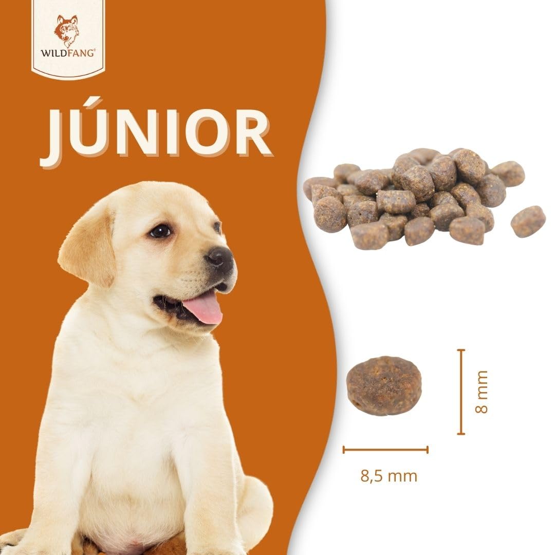 Wildfang® Alimento Seco para Perros 6kg – Pienso Premium con Pollo y Pavo, Sin Cereales ni Gluten, con Ingredientes Naturales, Sin Azúcar Añadido Comida para Cachorros y Perros Pequeños – Paquete de 1