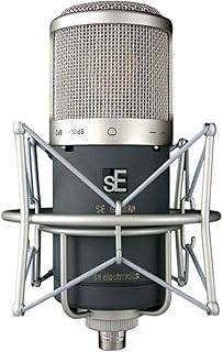 sE Electronics Gemini II Large-Diaphragm Condenser Microphone