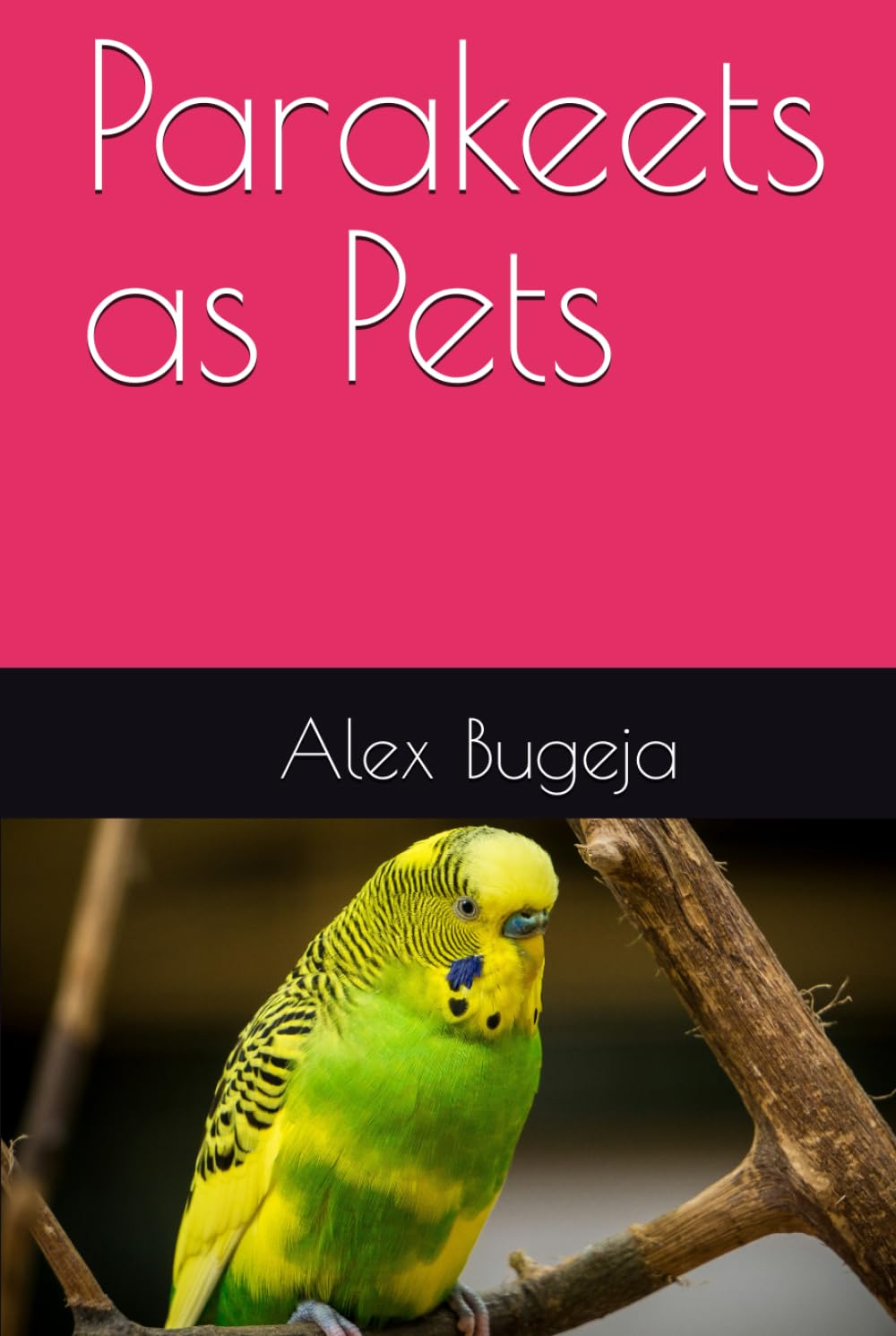 Parakeets as Pets