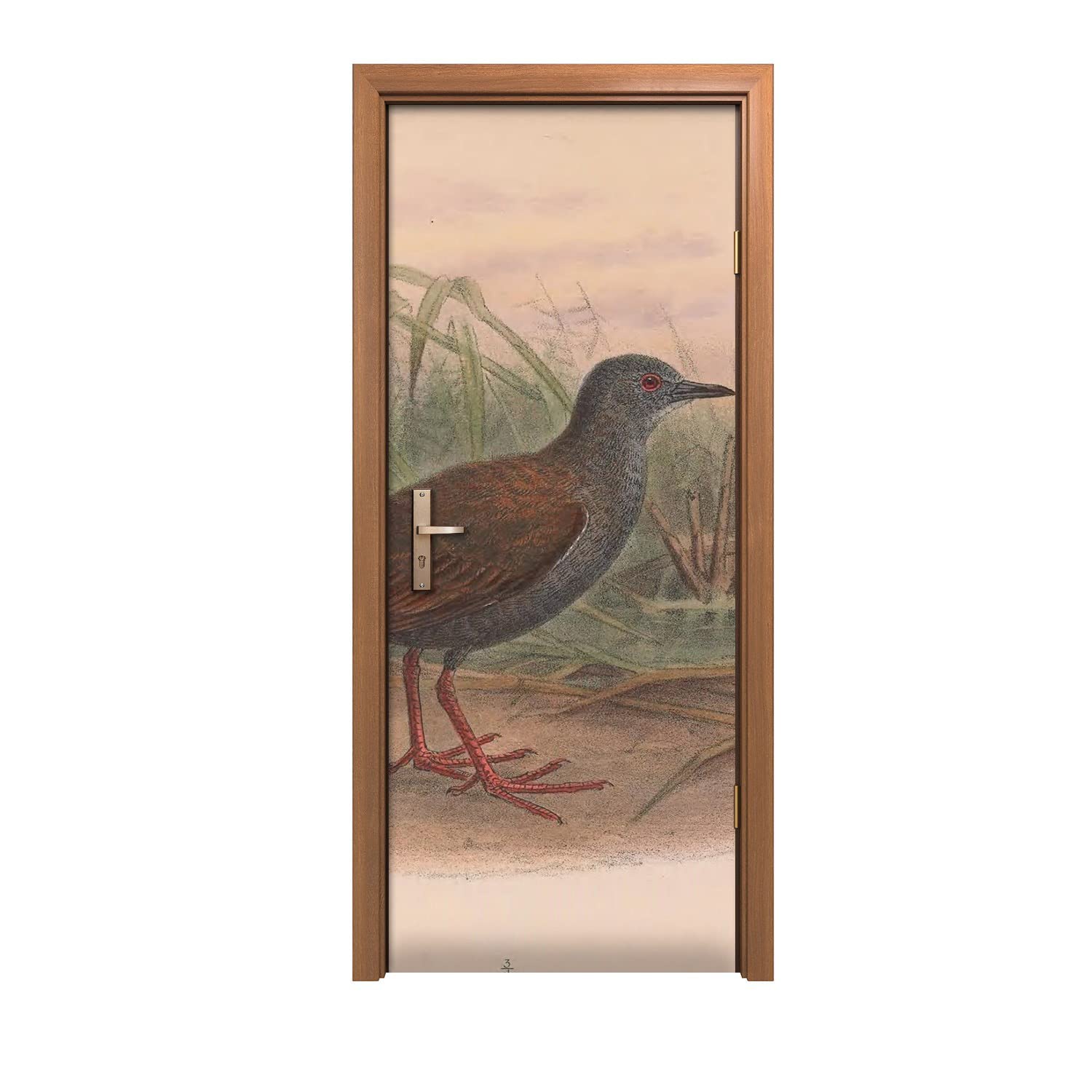 Autocollant de porte 90x200cm animaux oiseaux pour égayer un couloir sombre