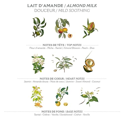 Miniatura 3 de Panier des Sens - Jabón en barra de leche de almendras - Barra de jabón perfumada suave hidratante - Jabón natural con aceite de karité - 97%