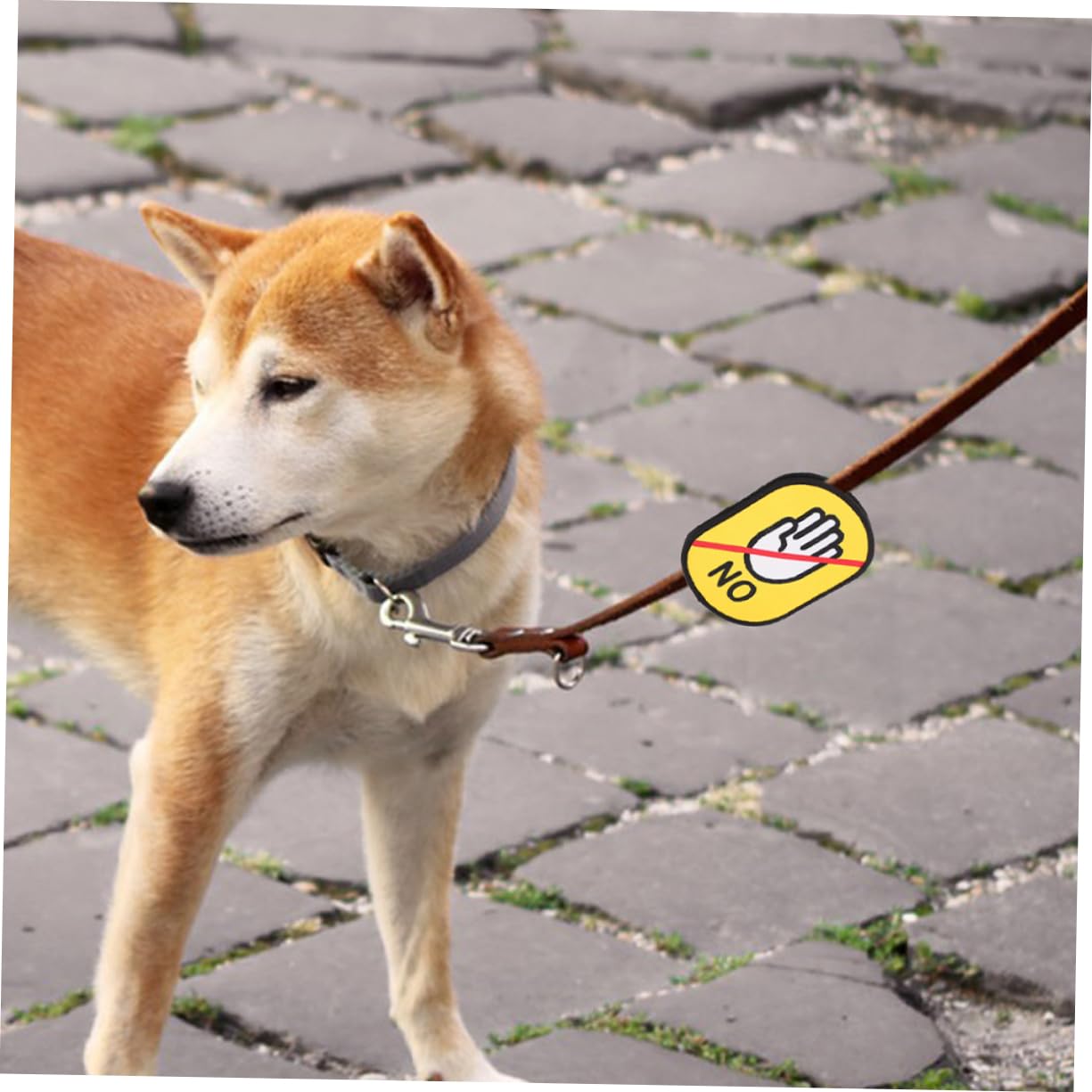 Cabilock Étiquettes D'avertissement en Tissu Imperméable pour Laisses d'animaux Fonction Antiperte Pack de 3 Formes Multiples, pour Identifier Votre Animal en Promenade