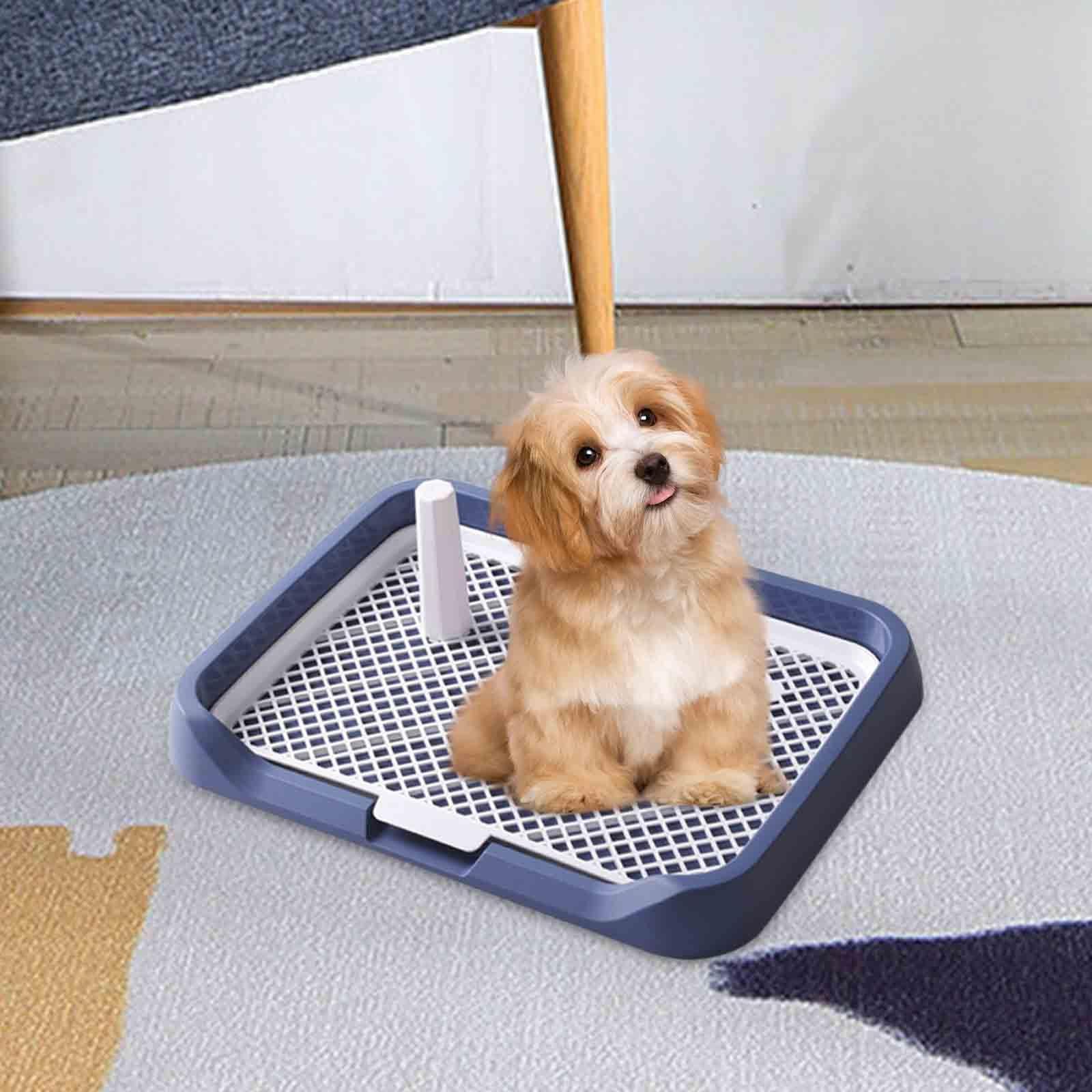 Plateau d'apprentissage de La Propreté pour Chien, Urinoir Portable, 46 X 35 X 5 Cm, Porte-Tapis, Bleu