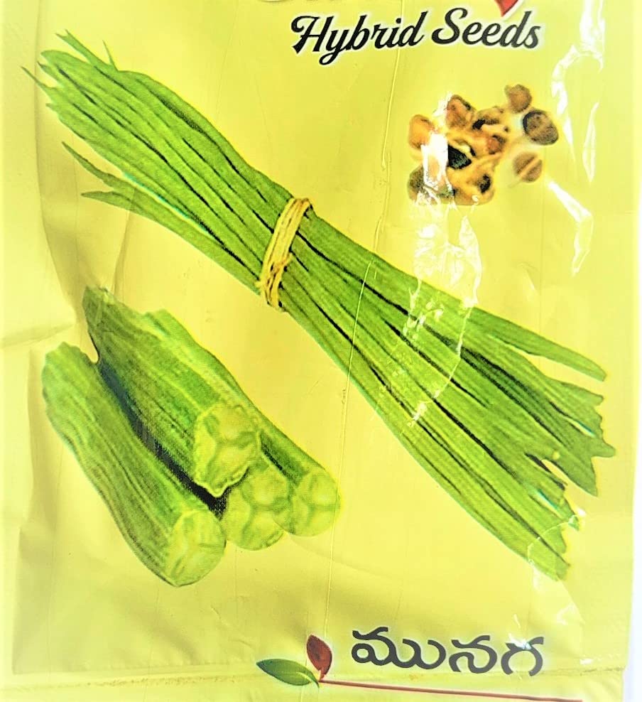 NATURE WORLD PREMIUM 365 DAYS PLANTING HYBRID DRUMSTICK MUNAGA 100 SEEDS FOR HOME GARDENING (B0BTBSGM7D) Amazon Price History, Amazon Price Tracker