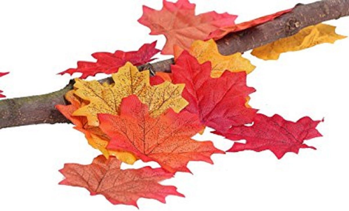 350 Pcs Artificial Maple Leaves Fall Leaves Silk Leaves Multiple Colour Simulation Faux Autumn Leaves Perfect Natural Autumn Decorations,Suitable for Thanksgiving Decor (350pcs, 7Multicolor)