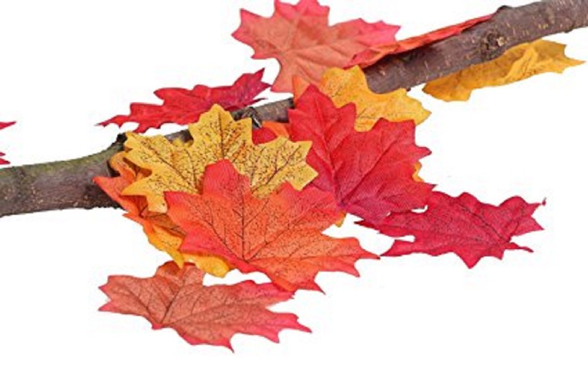 350 Pcs Artificial Maple Leaves Fall Leaves Silk Leaves Multiple Colour Simulation Faux Autumn Leaves Perfect Natural Autumn Decorations,Suitable for Thanksgiving Decor (350pcs, 7Multicolor)