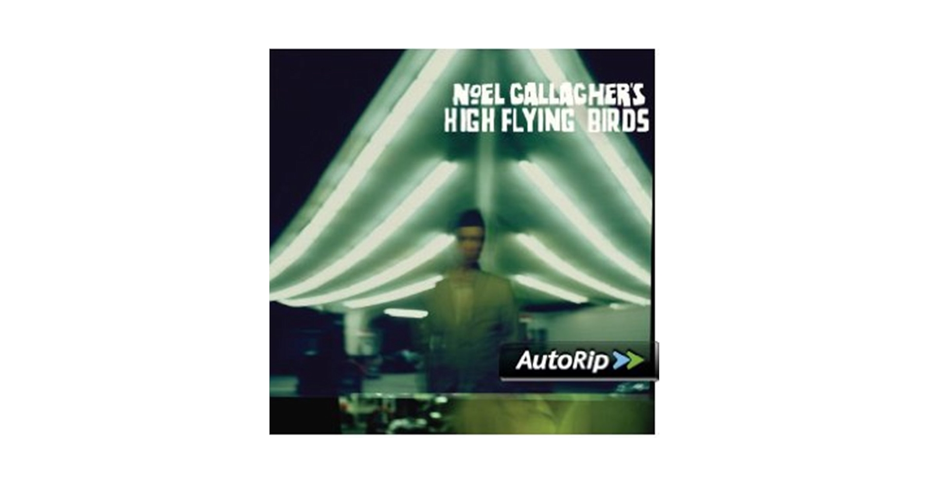 Noel Gallagher's High Flying Birds「Bac…」 NOEL GALLAGHER's HIGH FLYING BIRDS - High Flying Birds
