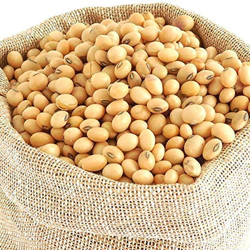 FRENUTRI Soyabean (High Protein, Rich in Vitamin 5Kg (B0BBVTHKSG) Amazon Price History, Amazon Price Tracker