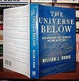 The Universe Below