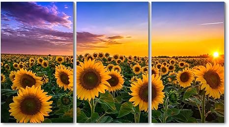 Amazon Co Jp 3枚セット アートパネル 壁掛け絵画 インテリアアート キャンバス 現代 壁飾り 部屋飾り 壁ポスター 絵画 玄関 おしゃれ モダン 壁掛け 雑貨 プレゼント ギフト アートフレーム おしゃれ ひまわり畑サンシャイン夏雲 ホーム キッチン Amazon Co Jp 3枚セット アートパネル 壁掛け絵画 インテリアアート キャンバス 現代 壁飾り 部屋飾り 壁ポスター 絵画 玄関 おしゃれ モダン 壁掛け 雑貨 プレゼント ギフト アートフレーム おしゃれ ひまわり畑サンシャイン夏雲 ホーム キッチン