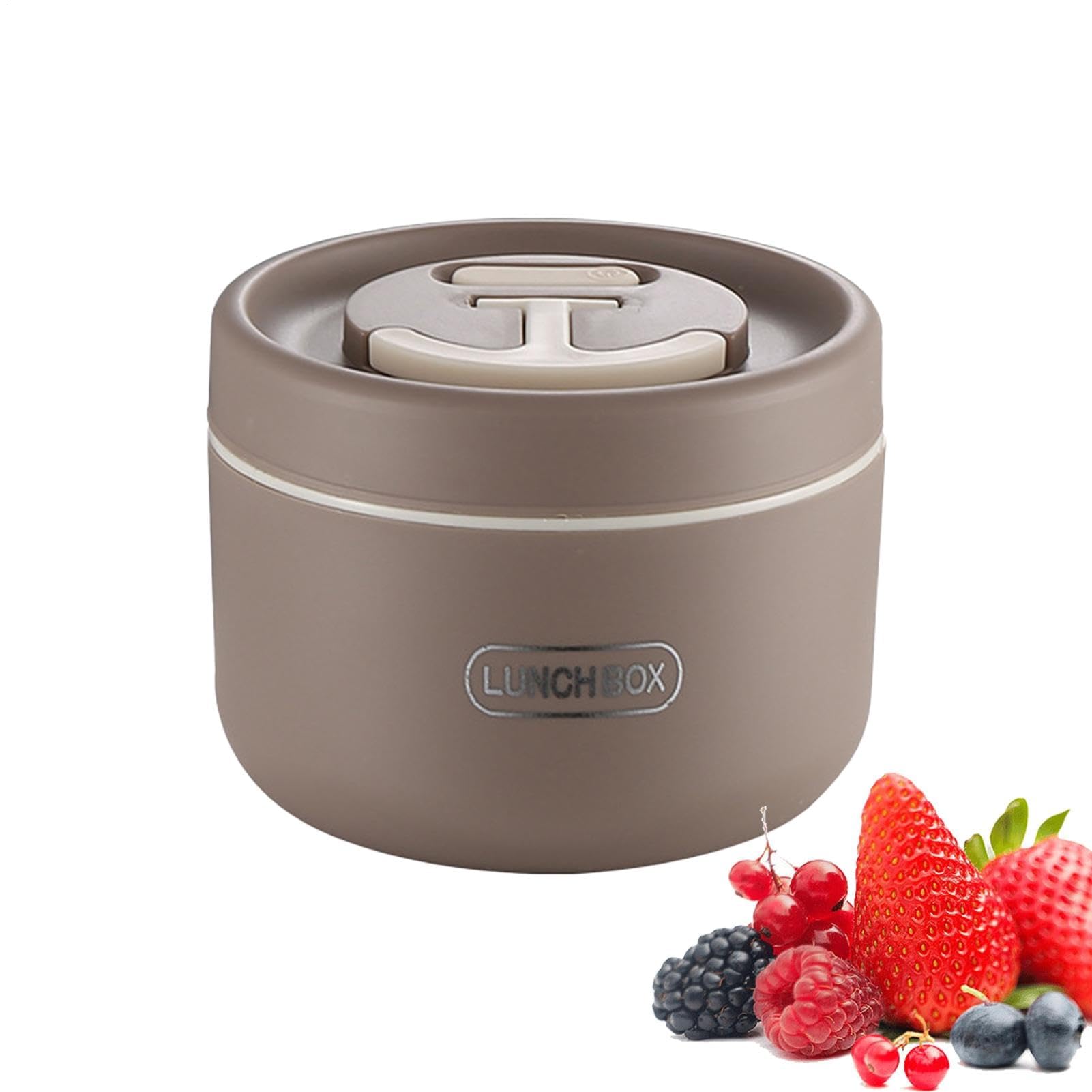WDWDW Lunch Box Stainless Steel Insulated,Vacuum Insulated Food Container,650 ml Leak-Proof Wide Mouth Jar