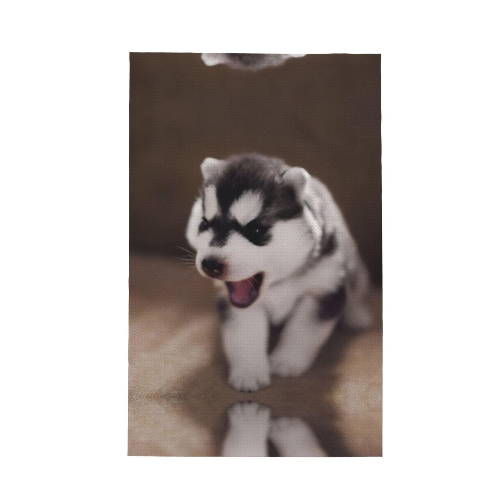 XXahnbm Cute Puppy Baby Print Waffle Kitchen Towel,Absorbent Hand Towel