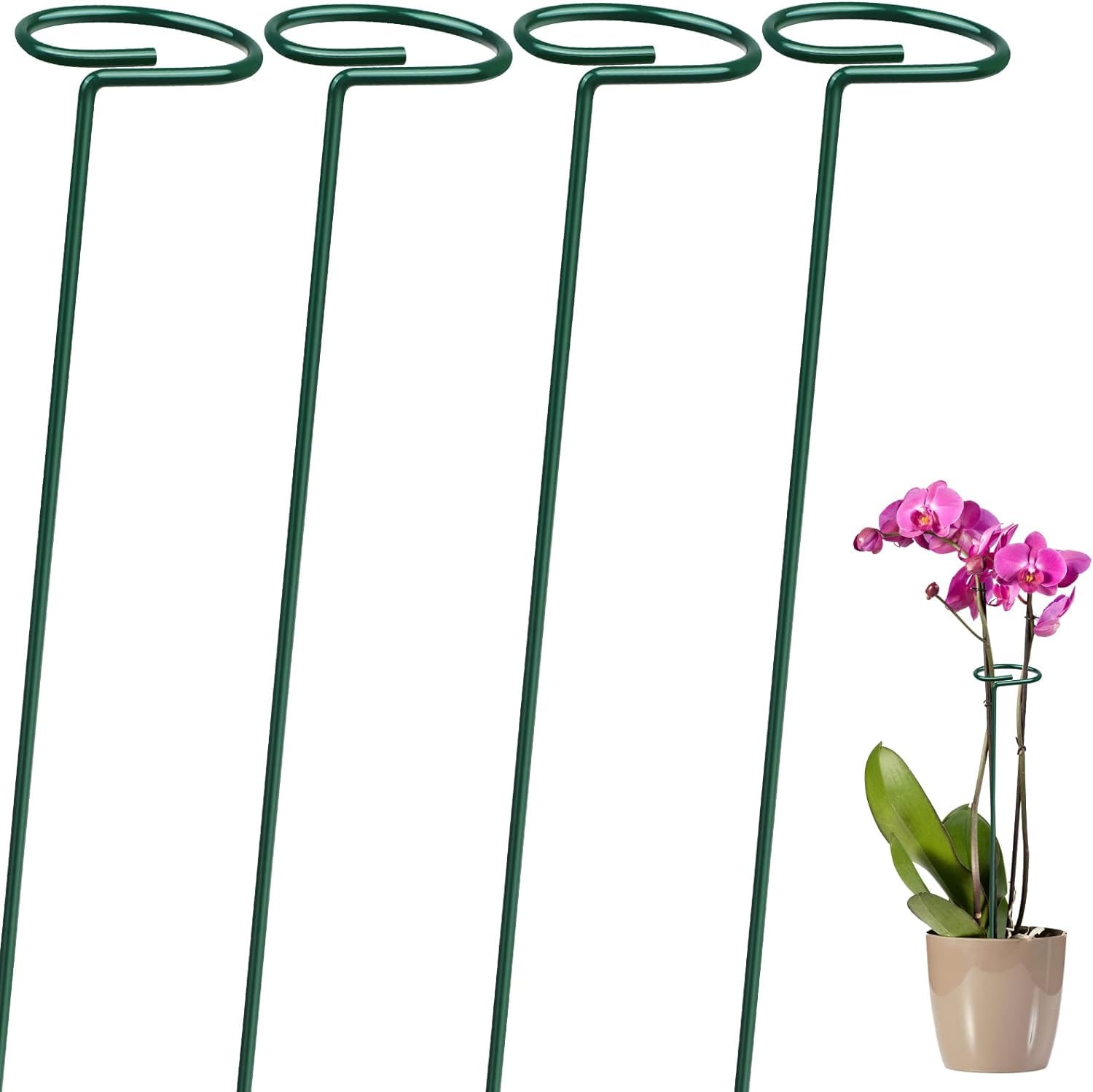 CSOK 4 Pack Plant Support Stakes, Garden Single Stem Flower Plant Support, Plant Cage Support Ring, Plant Sticks, Plant Stakes for Indoor Plants Amaryllis Orchid Peony Tomato Flower, 40CM/15.8INCH (B0CNLXXS25) Amazon Price History, Amazon Price Tracker
