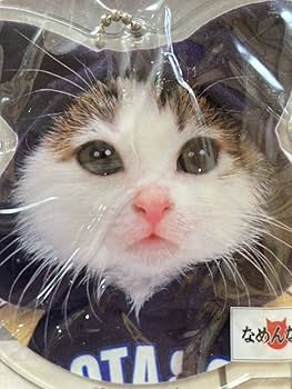 なめんなよ免許証キーホルダー　なめ猫　12個セット なめ猫 なめねこ 又吉 なめられたら無効 免許証 キーホルダー