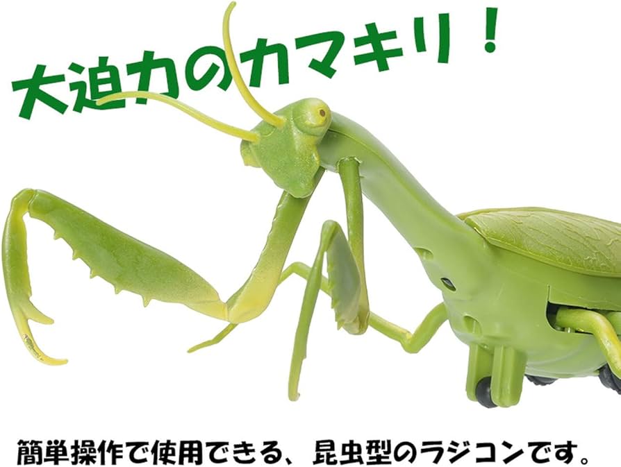 61SG6XV9sQL._AC_UF894,