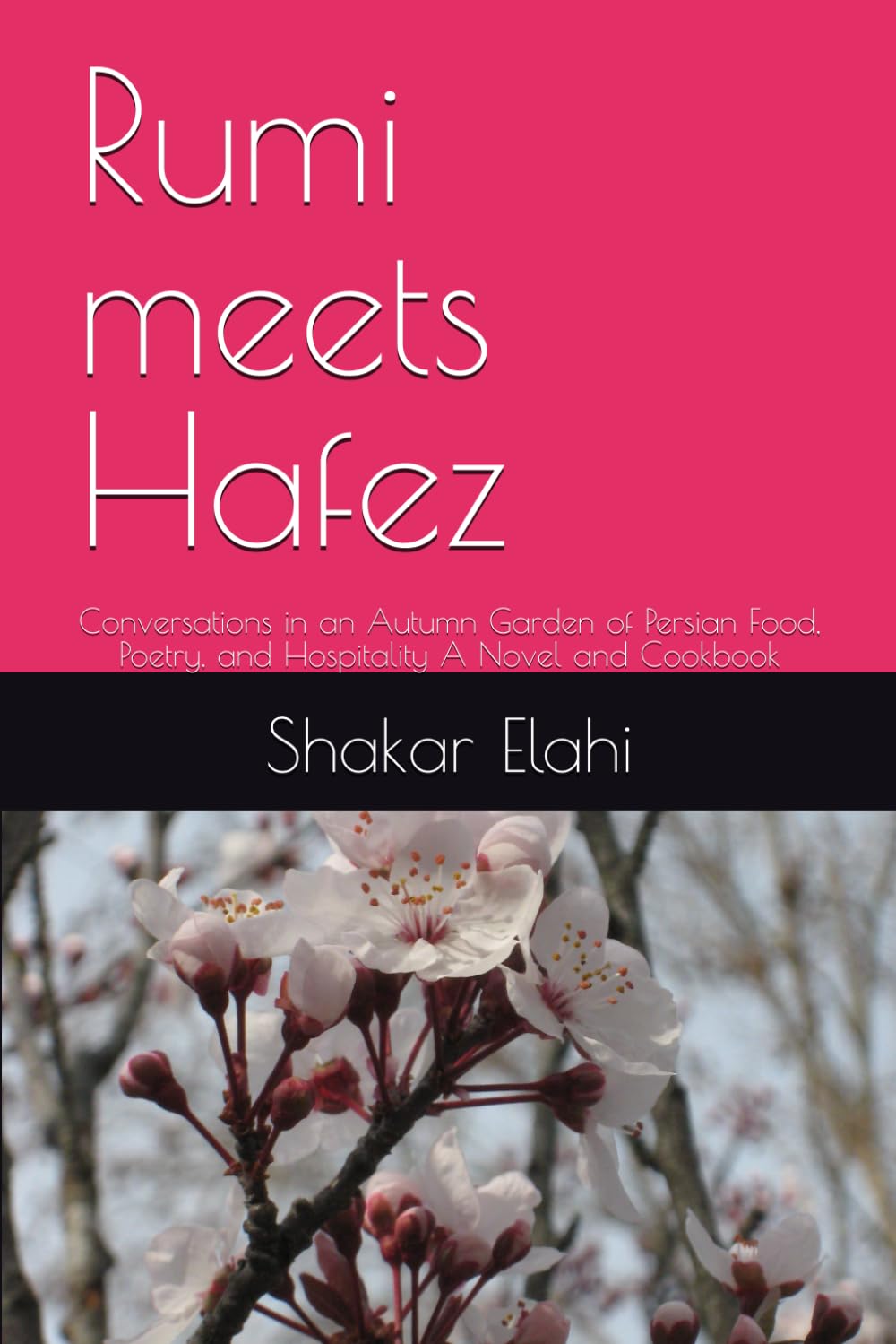 Rumi meets Hafez: Conversations in an Autumn Garden of Persian Food, Poetry, and Hospitality A Novel and Cookbook (Meditation, Poetry, Prayer and what makes it all worthwhile)