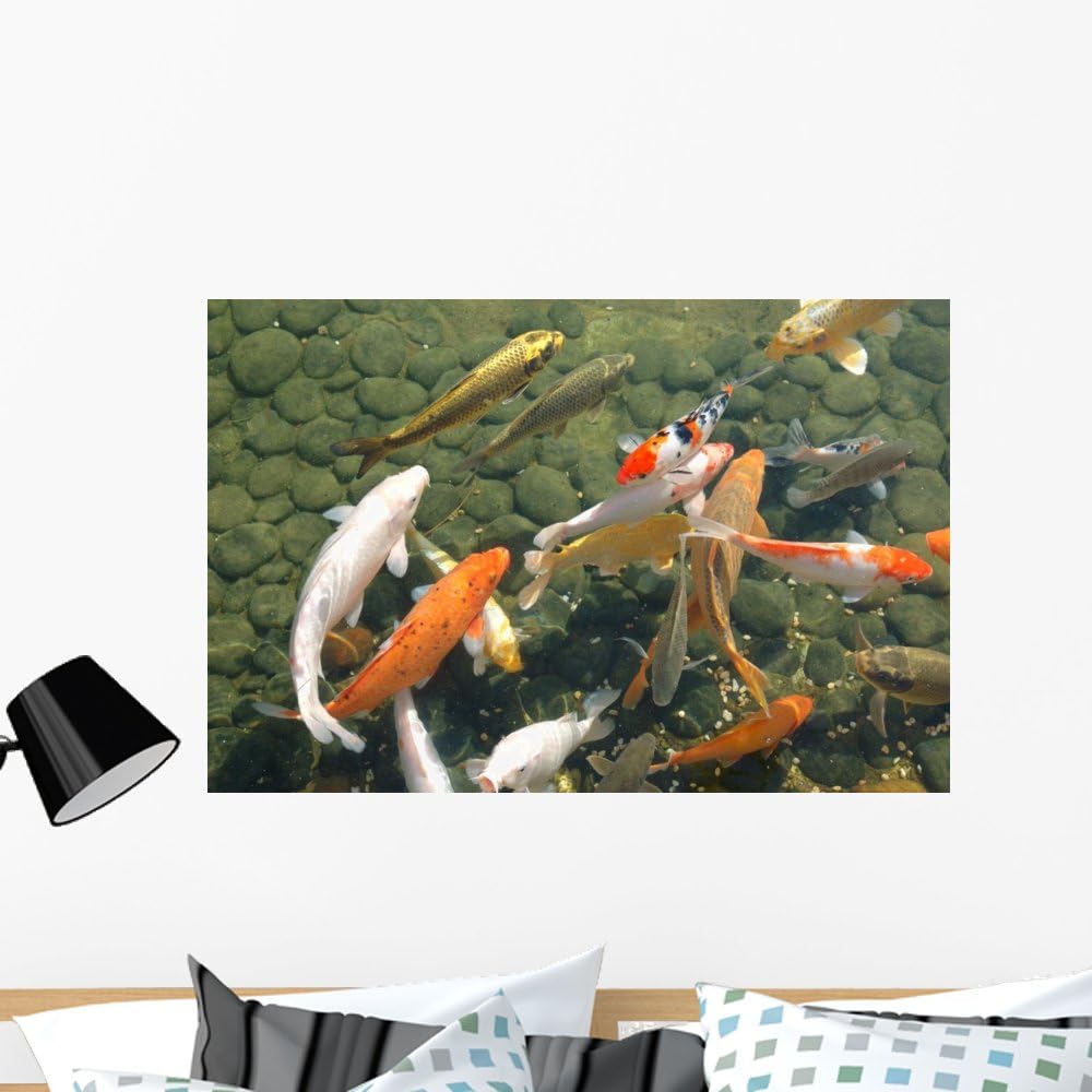 Wallmonkeys Koi Fish Wall Decal Peel and Stick Graphic WM176753 (36 in W x 24 in H)