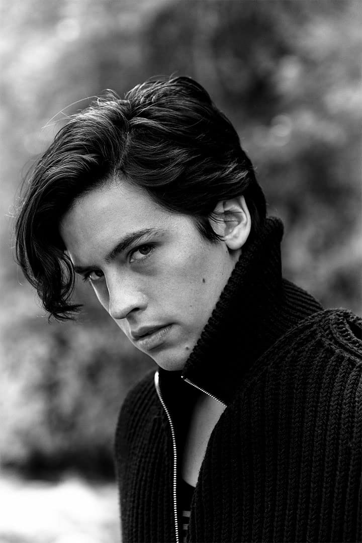 SICHYUAN Cole Sprouse American Movie Actor Artist Icon Wall Art Home Decor POSTER 20x30