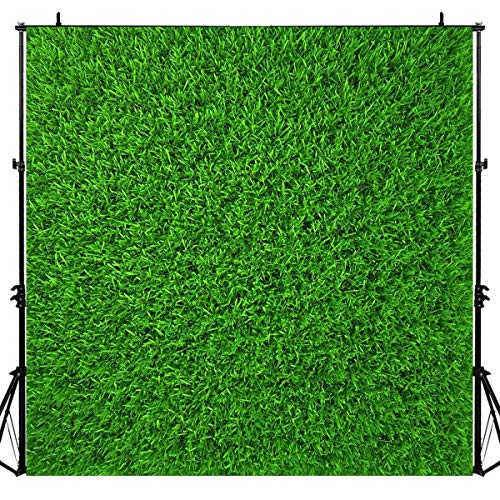 Nature Green Grass Backdrops For Photography 6X6Ft Spring Realistic Grass Lawn Picture Backgrounds For Baby Shower Birthday Party Photoshoot Luckbty Luzz440
