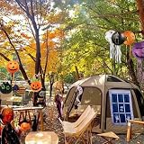 HORREX 8 sztuk lampionów na Halloween, lampion na Halloween, lampion z papieru pająkowego, lampion, papier, czaszka, dekoracja na imprezę tematyczną, dekoracja ogrodowa