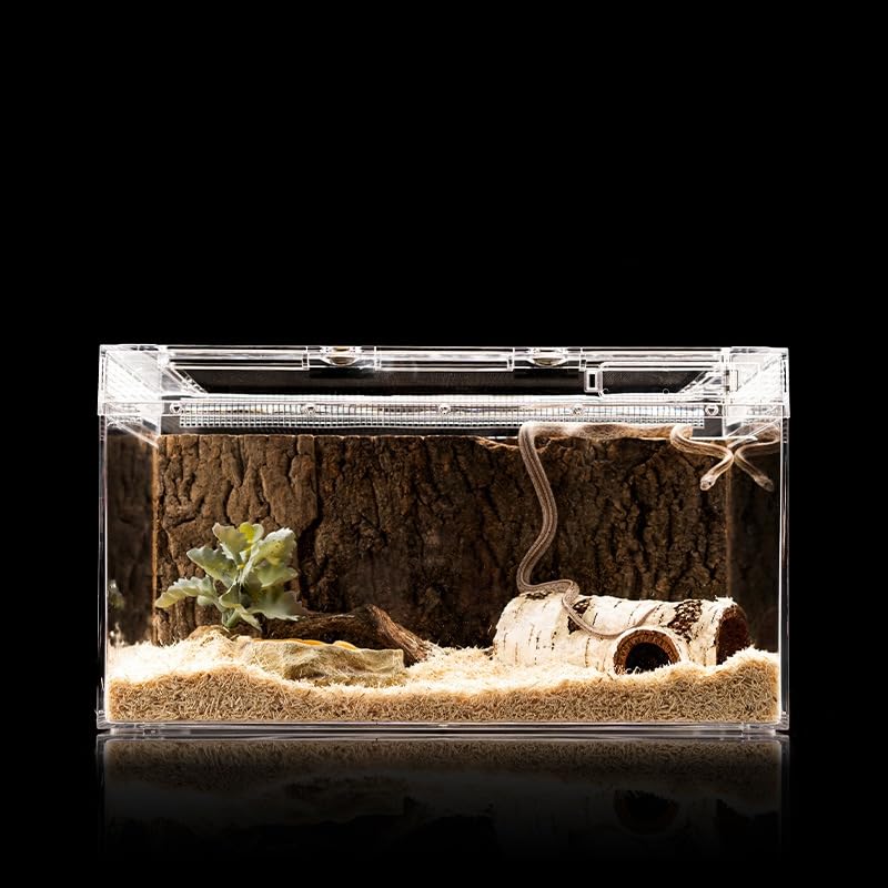 Amazon | Fegson 爬虫類ケージ 飼育容器、トカゲ ケージ、20cm/30cm