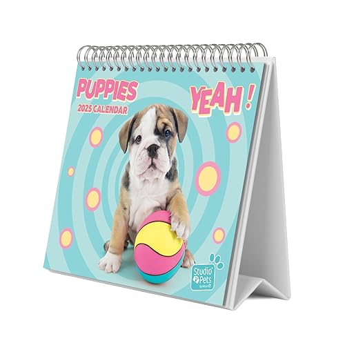 Grupo Erik Dog Desk Calendar 2025 | 8 x 7 inches - 20 x 17 cm | 12 Month Desk Planner, Desktop Calendar 2025 | Dog Calendar 2025, Calendar 2025 Dogs