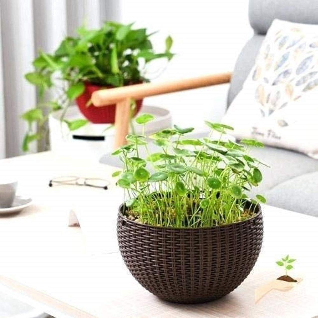 Go Hooked 7.1" Plastic Rattan Hanging Basket/Hanging Pots with Metal Hanging Chain/Hanging Planters- Set of 3 (Dark Brown) (Flowers Not Included) 1