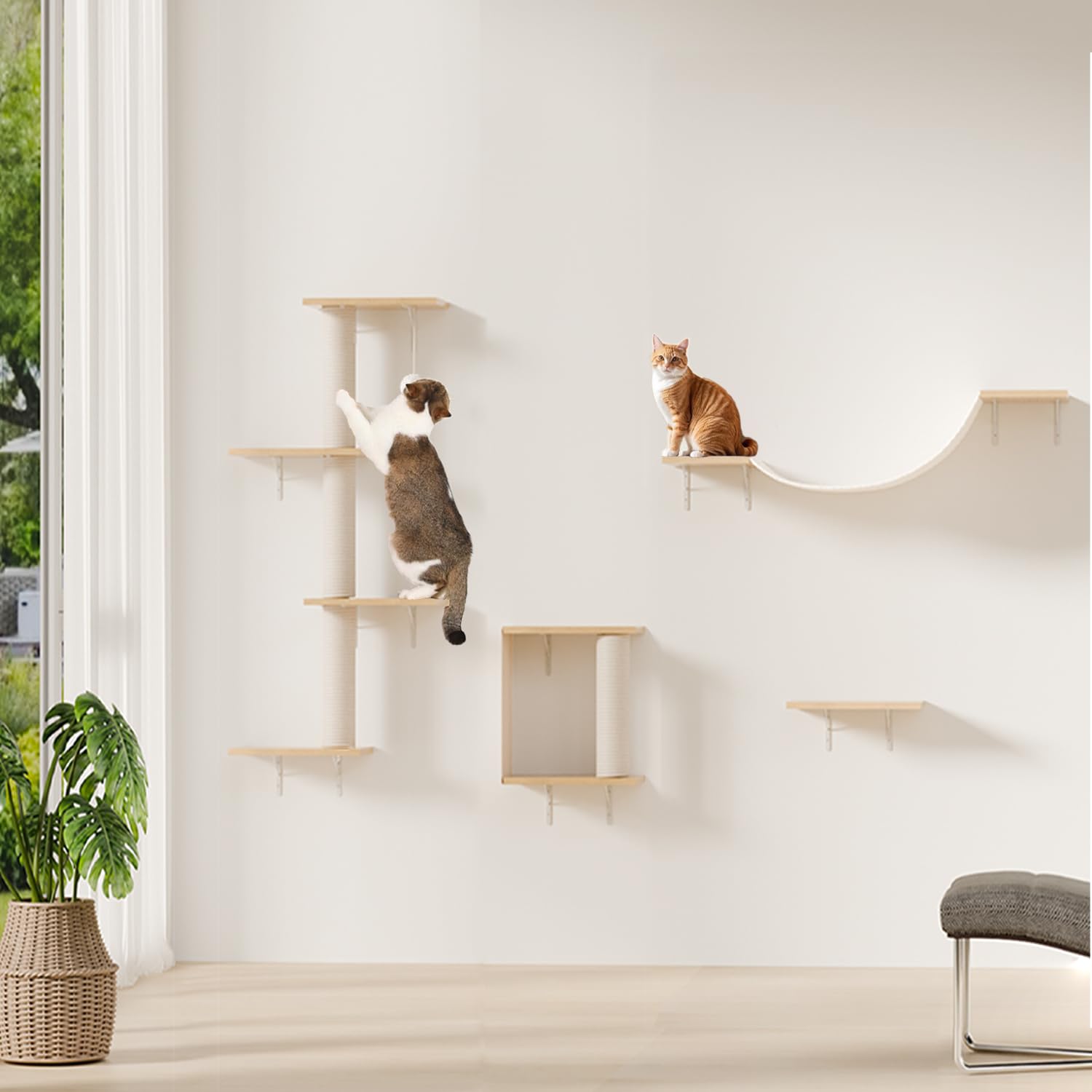 猫家　壇飾り　使用品 Amazon.co.jp: 松の木製壁掛け式猫用家具, キャットハウス付きキャット