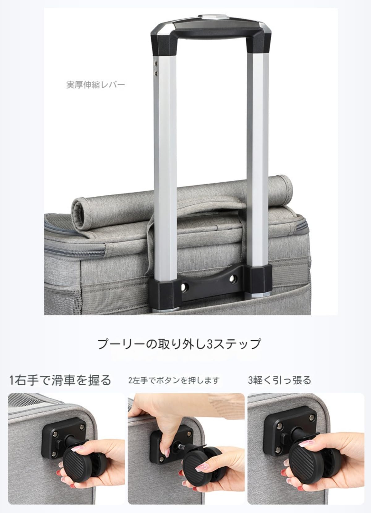 Amazon.co.jp: Leabdio ペットキャリーバック 猫 多頭飼い ペット