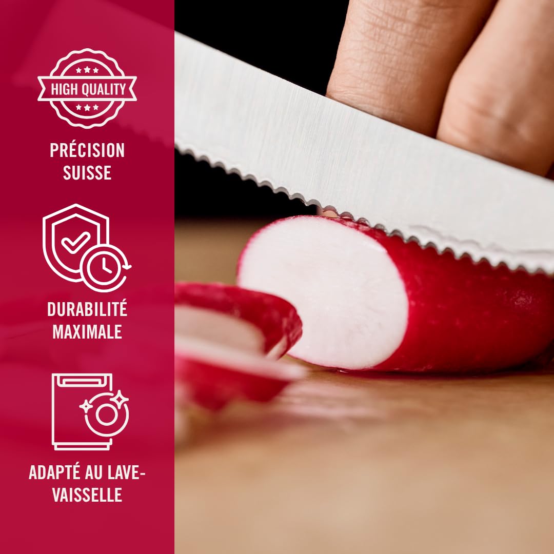 Victorinox Swiss Classic, Couteau à petit déjeuner, Couteau à pain, Lame tranchante, dentelée, 11 cm, Manche plastique, Acier inoxydable, Set 6 Pièces, Noir