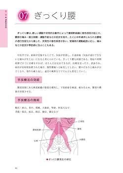 実用中国手技療法 臨床編 (GAIA BOOKS) | 張 軍 |本 | 通販 | Amazon