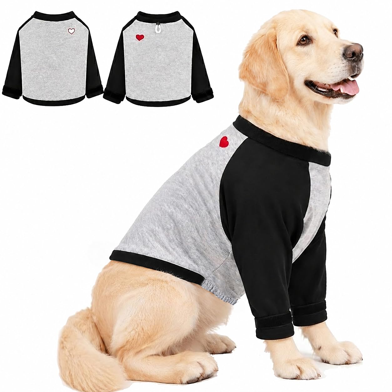 Photo 1 of Lukovee Dog Recovery Suit - Black, X-Large