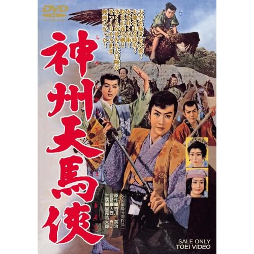 神州天馬侠（1958年）
