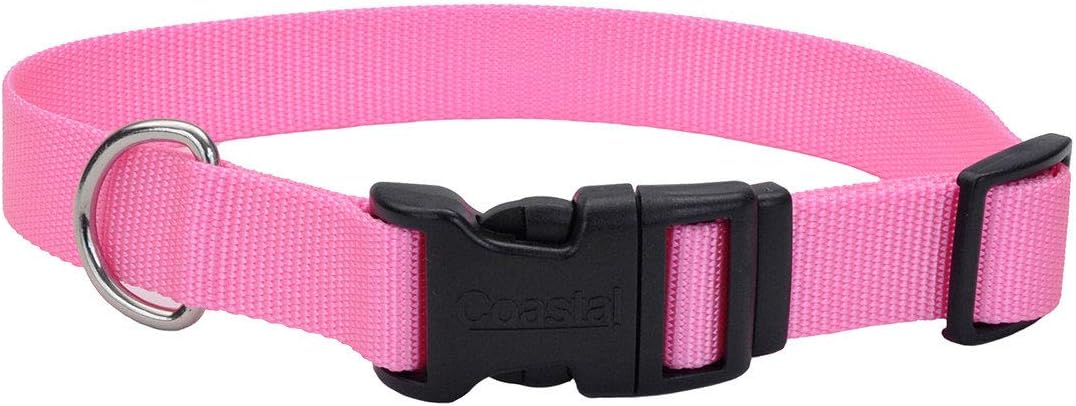 Coastal Pet - Adjustable Dog Collar with Plastic Buckle, Pink Bright, 1" x 18" - 26"