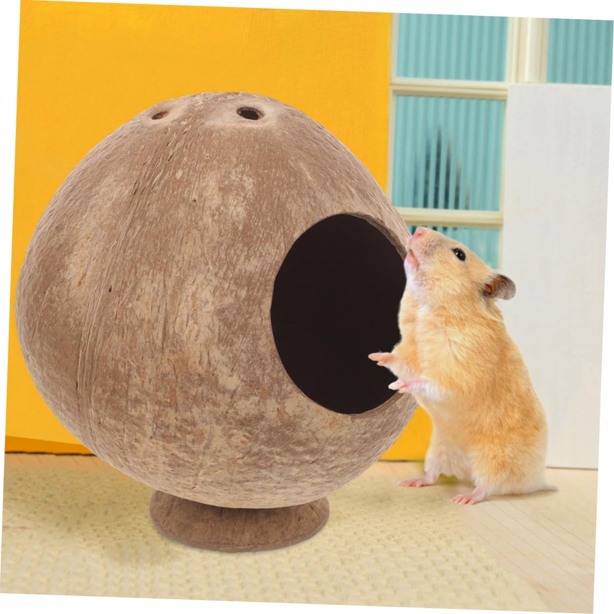 2 Stück Hamster Kokosnusshütte aus Natürlicher Kokosschale Kleines Nagetierversteck und Kuschelhütte Sicherer Rückzugsort für Meerschweinchen und Kleintiere Platzsparend und