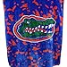 College Covers Everything Comfy Florida Gators Soft and Warm Huge Raschel Throw Blanket, 86