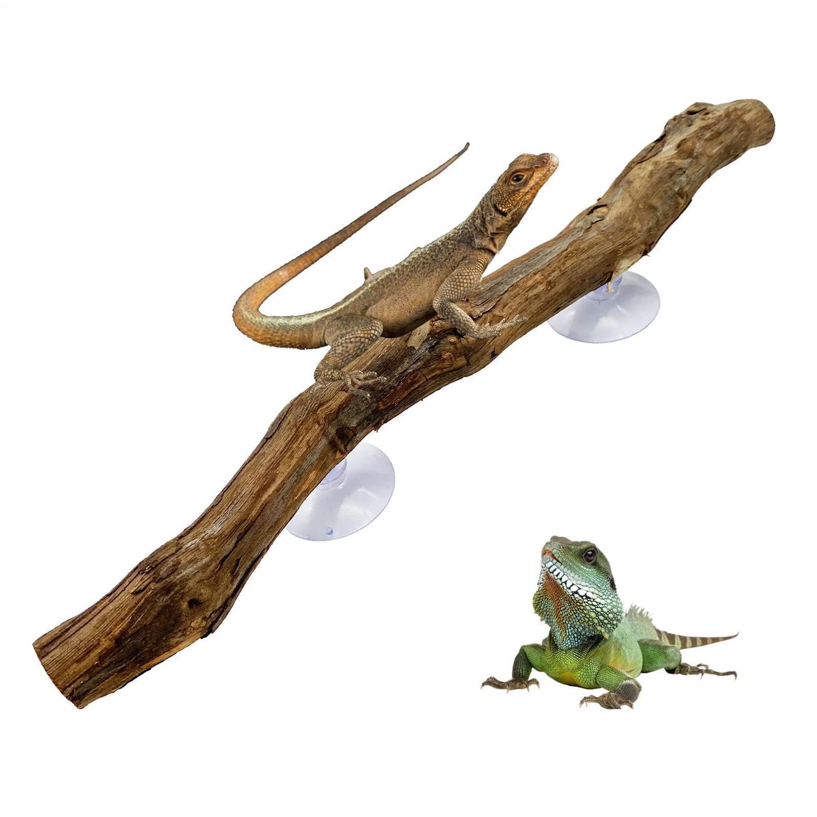 Reptile Climbing Branch Natural Wooden Tree Trunk Ornament Habitat Decor