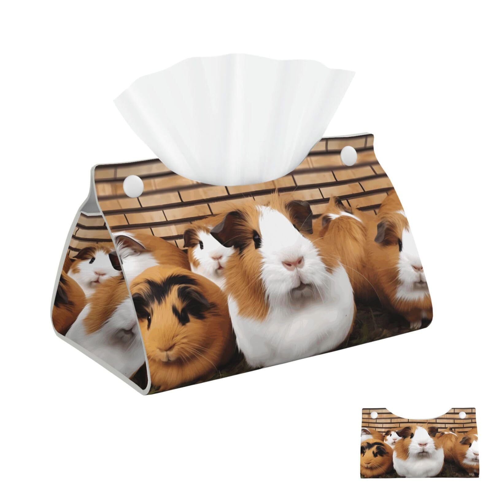 Guinea Pigs Tissue Box Cover Square Cube Boxes