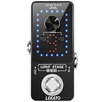 ギター Noah's Ark PTBS-1/Pedal Effect Looper Noah'S Ark Ptbs