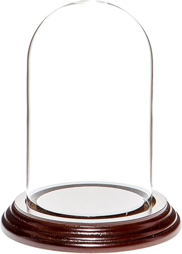 Miniatura 7 de Plymor Cúpula de exhibición de cristal de 3 "x 5" (base de chapa de nogal)