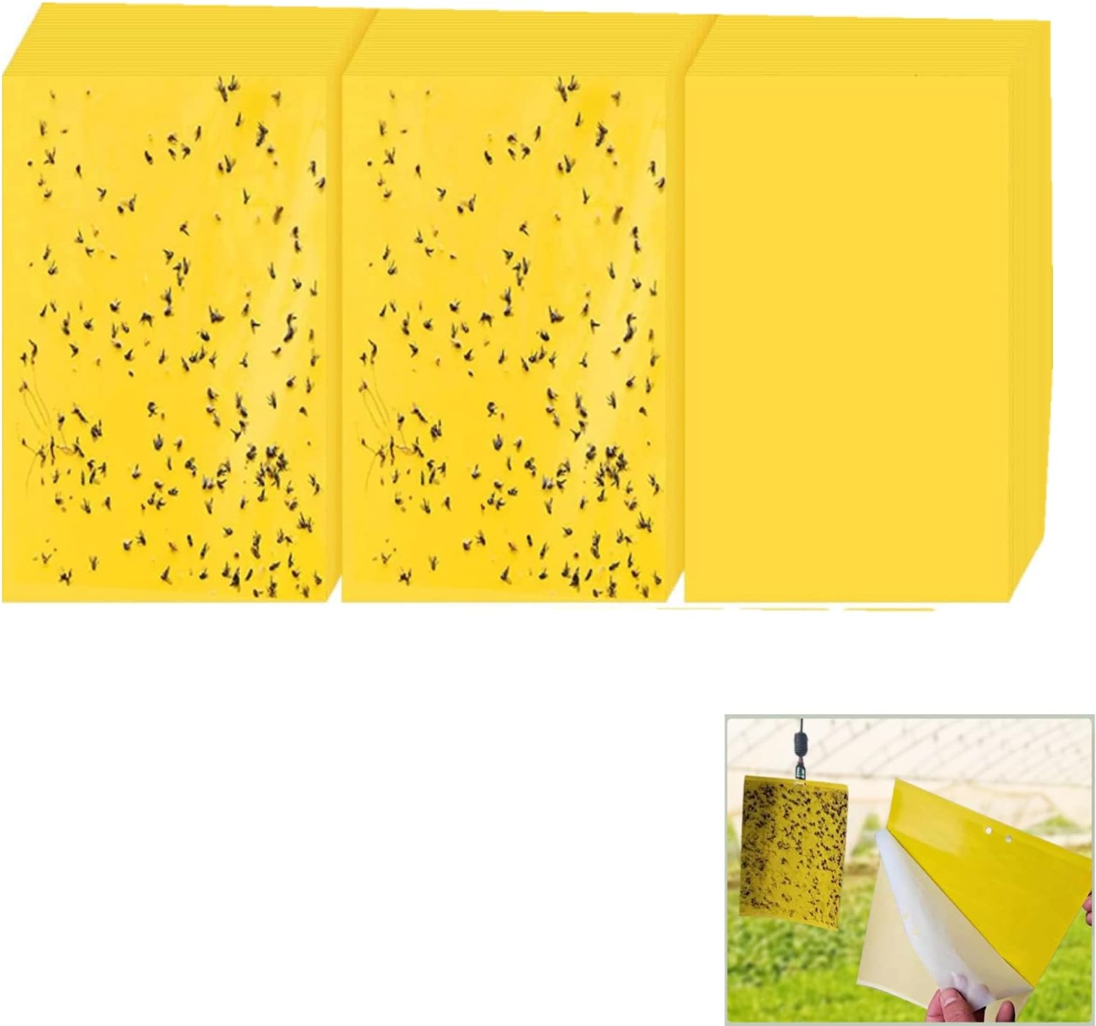 30 Pack Fruit Fly Trap Yellow Sticky Gnat Traps Killer for Indoor/Outdoor Flying Plant Insect,Yellow Gnat Traps for House 20X25CM Sticky Traps for House Indoor Outdoor Plants(30 Pack Fruit Fly Trap)