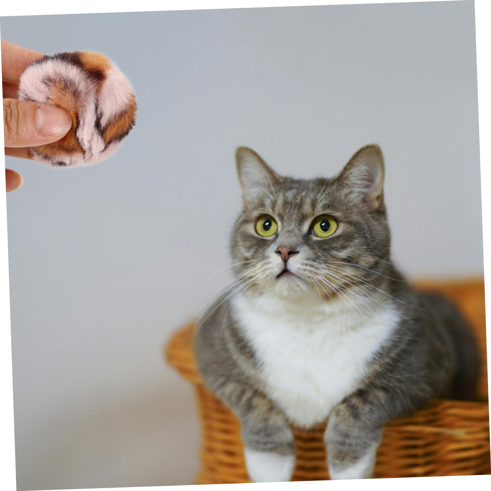 ibasenice 6Pcs Pet Plush Ball Funny Leopard Balls for Cats Interactive Play Bright Colors to Stimulate Curiosity Cat for Indoor Fun