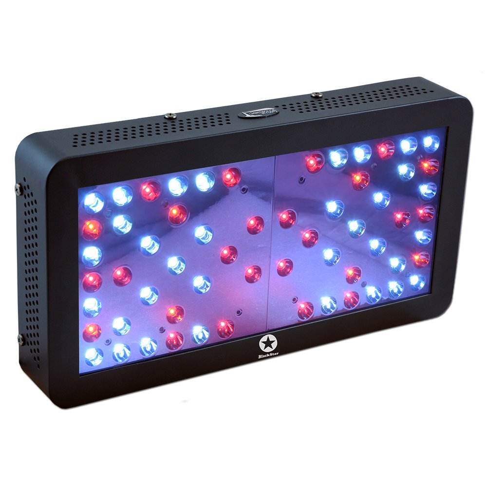 Blackstar V2.0 Veg/Clone LED Grow Light, 180-watt