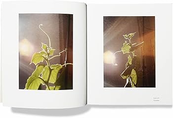 Noguchi Rika: Small Miracles: Yoshimoto Banana: 9784865411560 Noguchi Rika: Small Miracles: Yoshimoto Banana: 9784865411560