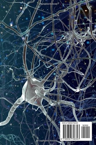 Puzzle, The Brain: Brain Exercises