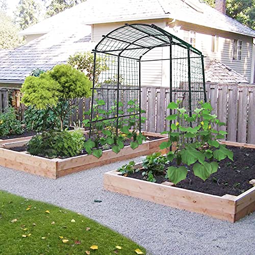 image for CHPPEY Garden Arch Trellis for Climbing Plants - 7.2ft Tall Large Tunn