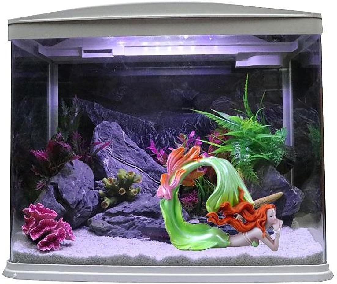 princess fish tank