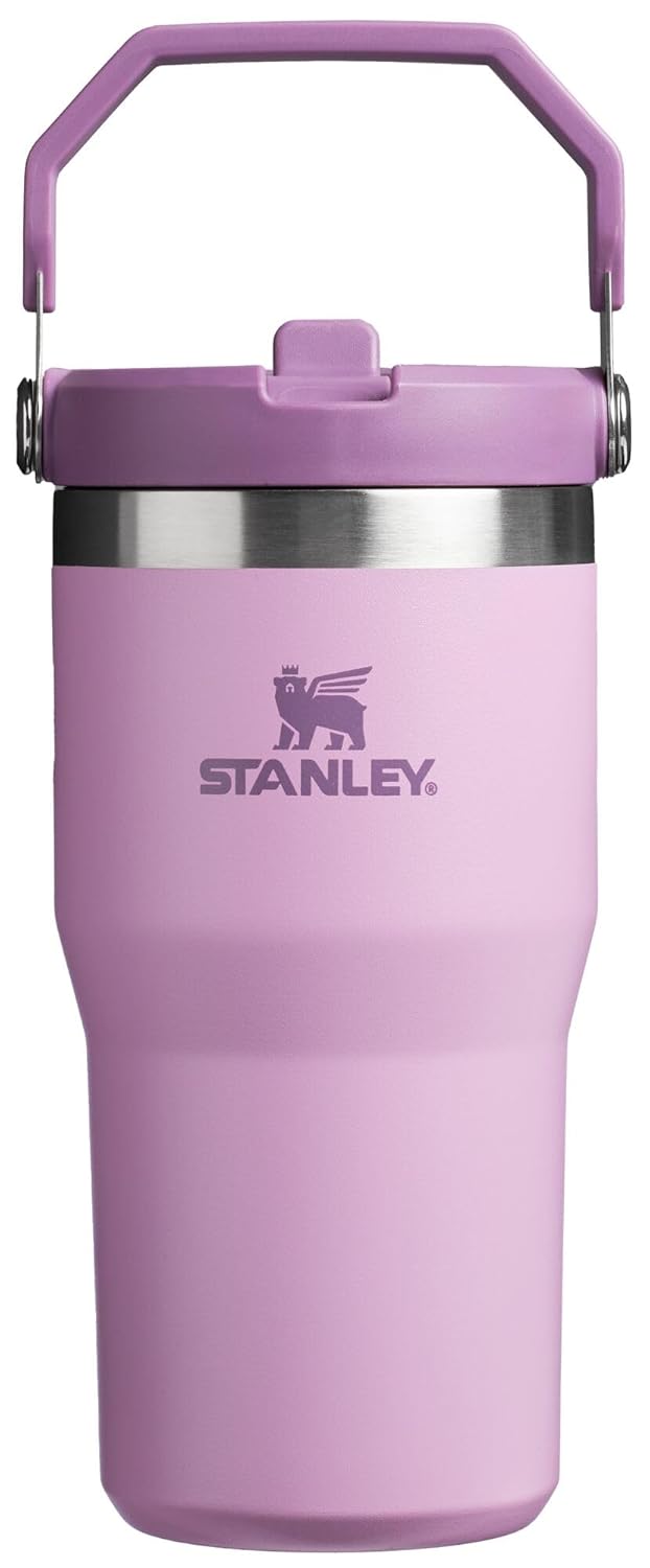 Stanley IceFlow Flip Straw Tumbler with Handle 20 oz Twist On Lid and Flip Up Straw Leak Resistant