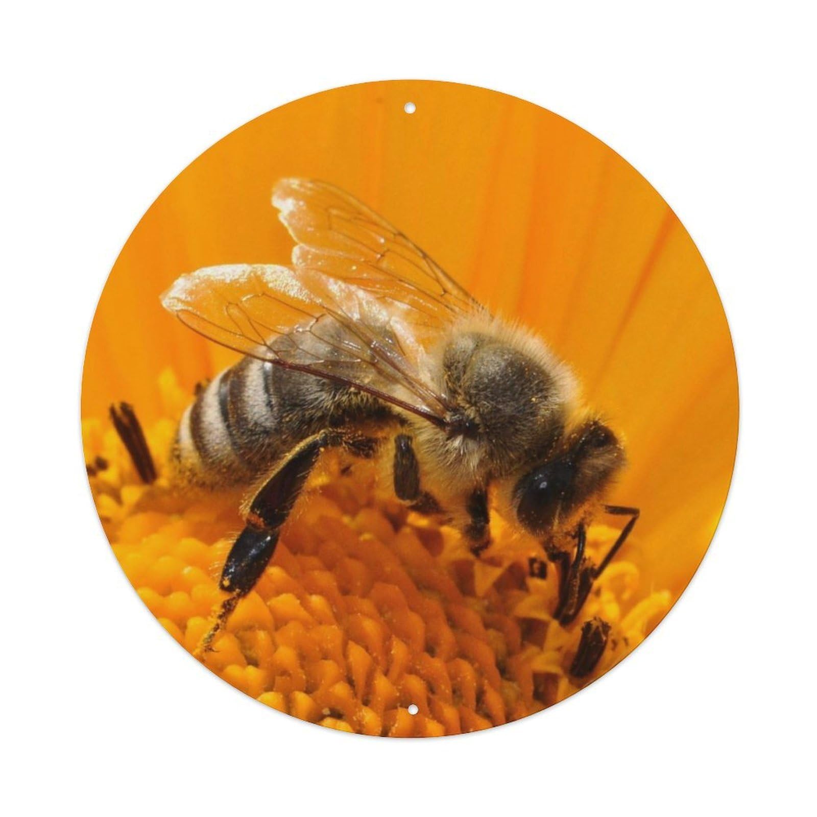Animal Insects Bee on Sunflower Vintage Metal Tin Sign Plaque Wall Decor for Cafe, Club Bar, Office, Garden Metal Poster 8x8Inch